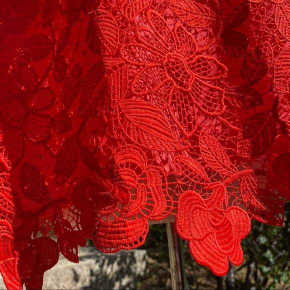 Lovers + Friends Red Lace Dress - Picture 5 of 10
